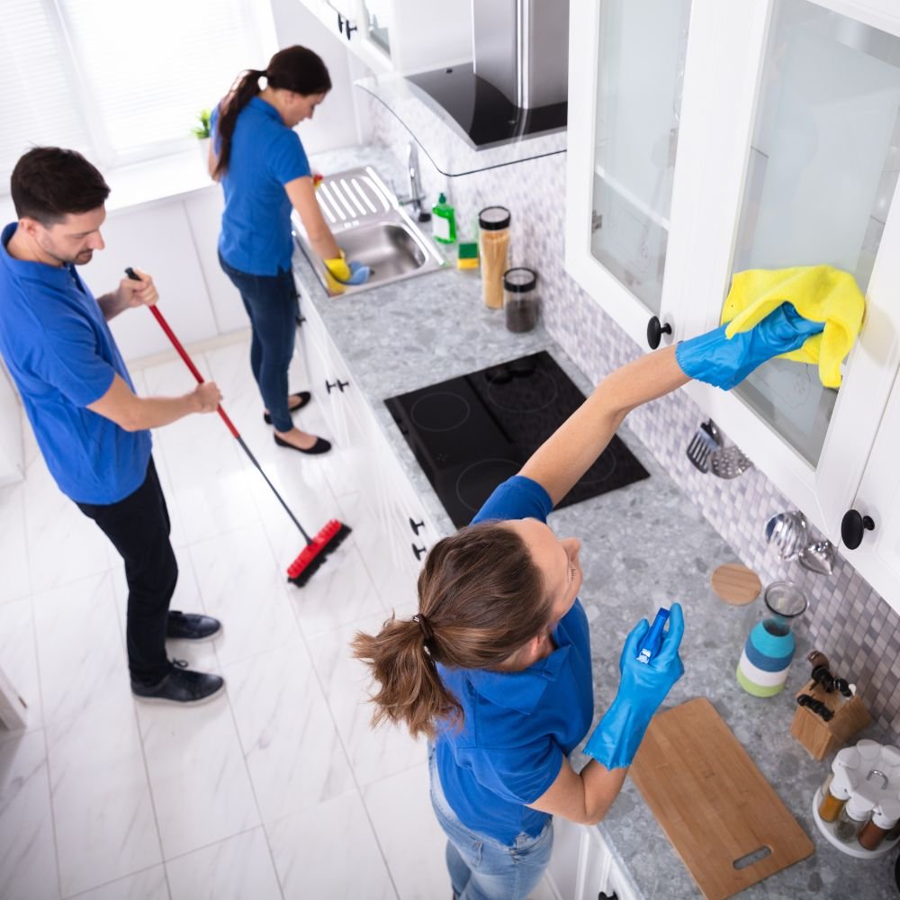 Clean regularly ketchine clean Clean regularly ketchine clean