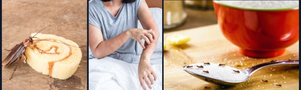 Contamination of food and water, Allergies and respiratory problems Contamination of food and water, Allergies and respiratory problems