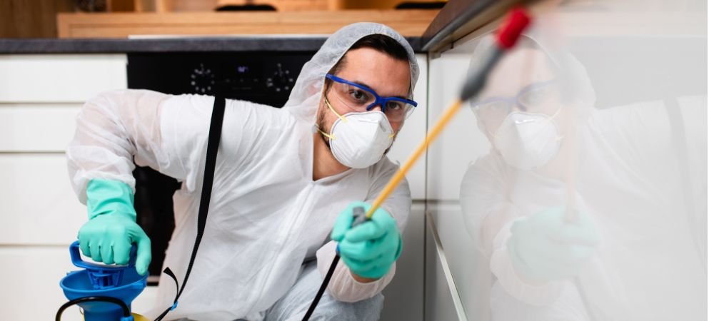 Experienced and trained professionals (1) Experienced and trained professionals