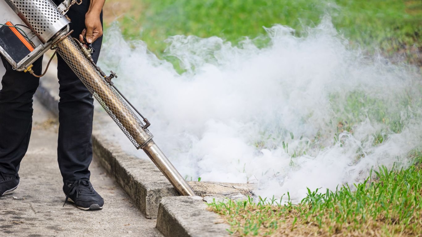 Mos Pest Control in Ajman Mosquitoes Pest Control in Ajman
