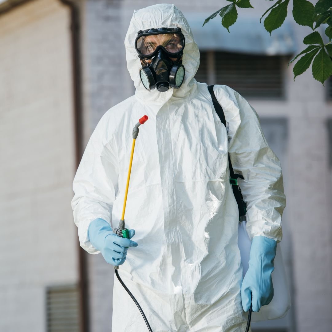 Pest Control for Offices Pest Control for Offices