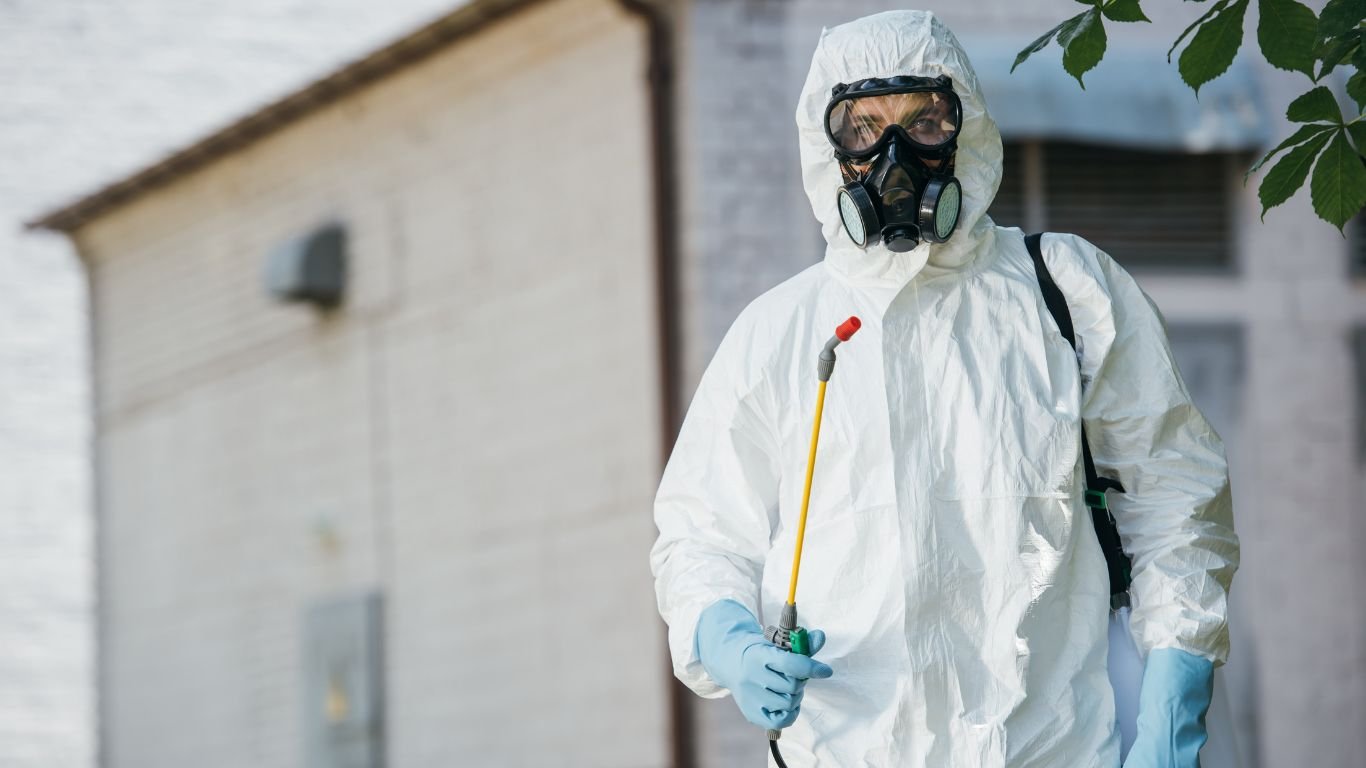 Pest Control in Ajman (1) Pest Control in Ajman