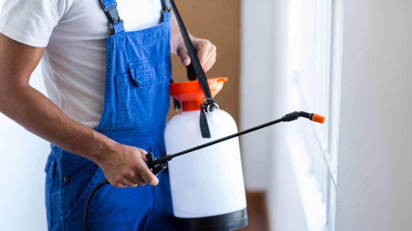 Pest Control in Ajman (8) Pest Control in Ajman