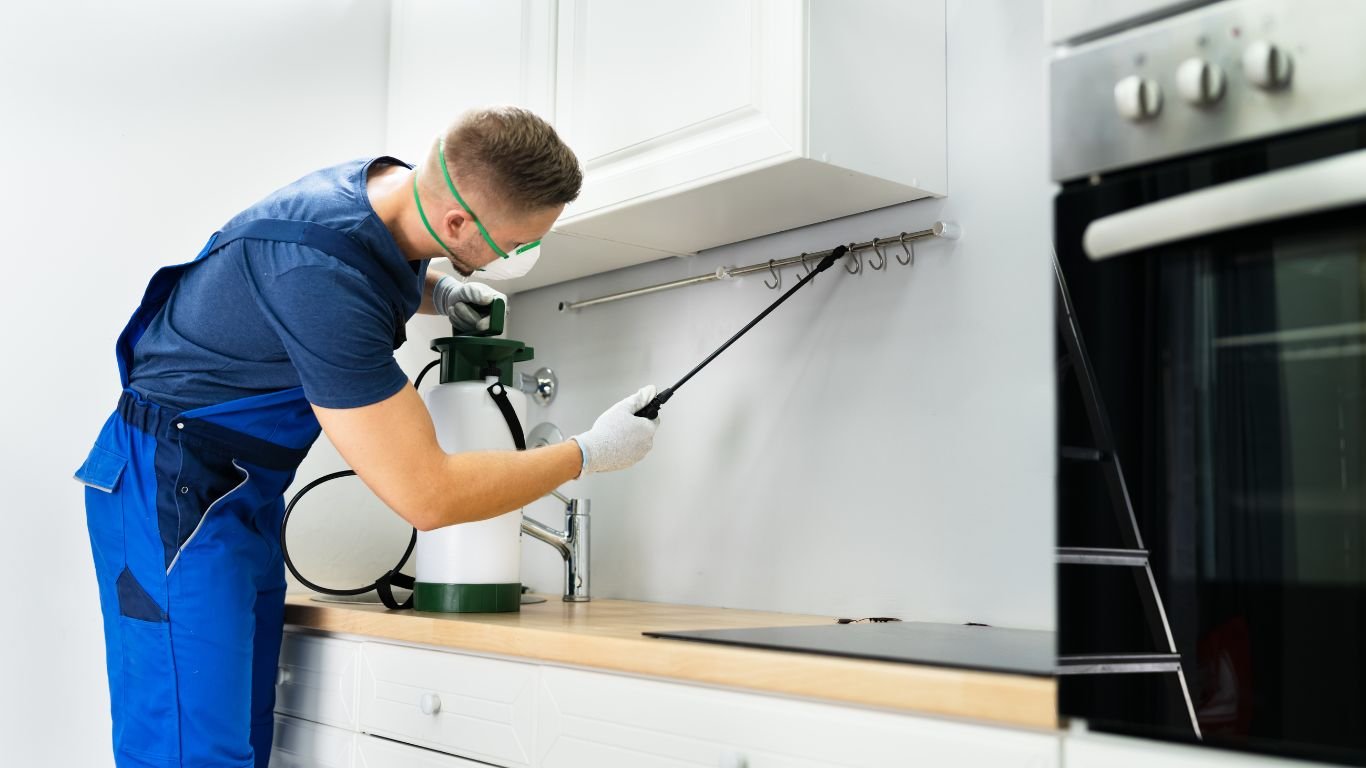 Pest Control in Sharjah